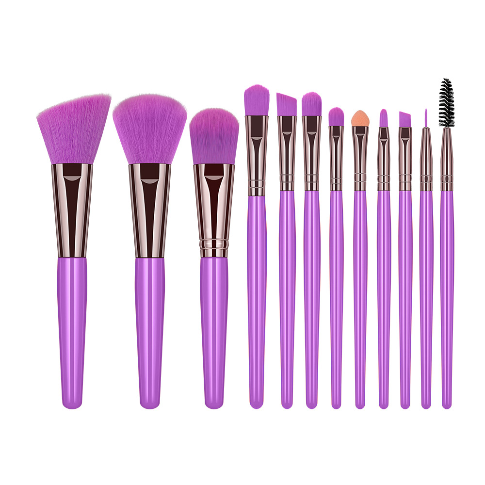 Makeup Brushes Set 12PCS Eyeliner Eyelash Solid Eye Shadow Cosmetic Blending Beauty Make Up Brush Set Tool Kit