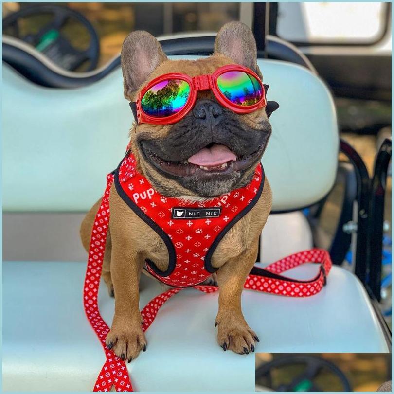 Dog Collars Leashes Dog Harness And Leashes Set Red Paw Print Printed Harnesses Breathable Mesh Padded Puppy Vest Collar For Small Dhbty
Dog Collars Leashes Dog Harness And Leashes Set Red Paw Print Printed Harnesses Breathable Mesh Padded Puppy Vest Collar For Small Dhbty