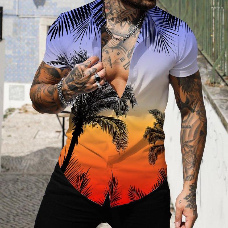 Men's Casual Shirts 2022 For Men 3d Printed Men's Hawaiian Shirt Figure 5xl Short Sleeve Fashion Tops Tee Blouse Camisa
Men's Casual Shirts 2022 For Men 3d Printed Men's Hawaiian Shirt Figure 5xl Short Sleeve Fashion Tops Tee Blouse Camisa