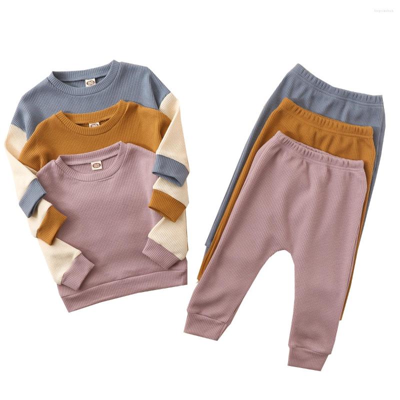 Clothing Sets 2 Pcs Infant Casual Outfits Baby Boys Color Block Long Sleeve Round Neck Sweatshirt Solid Trousers 6M-4T, Purple
Clothing Sets 2 Pcs Infant Casual Outfits Baby Boys Color Block Long Sleeve Round Neck Sweatshirt Solid Trousers 6M-4T, Purple