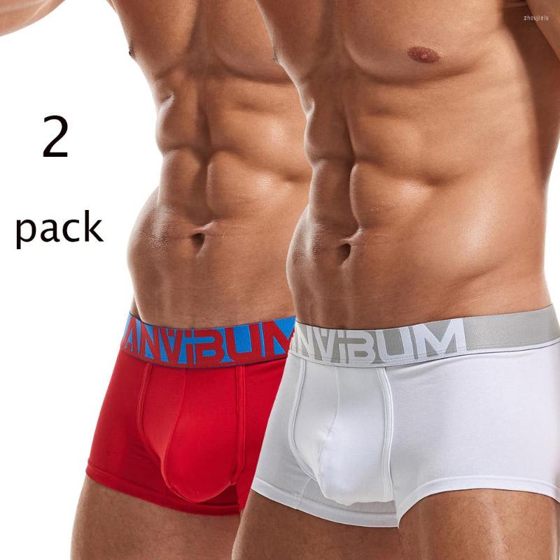 Underpants Men's UnderWear For Man Cotton Boxer Male Fashioin Sexy Brand Body Short 2 Pack Calzoncillo Hombre, Random 2 color
Underpants Men's UnderWear For Man Cotton Boxer Male Fashioin Sexy Brand Body Short 2 Pack Calzoncillo Hombre, Random 2 color