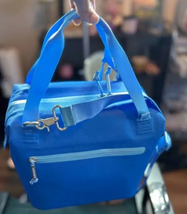 US warehouse Lunch Bag All Day Julienne Mini Soft Cooler Lunch Box 10-Can Recycled Polyester Cooler 12-Hour Cooling Cooler Bags Love Shack Fancy Ibiza