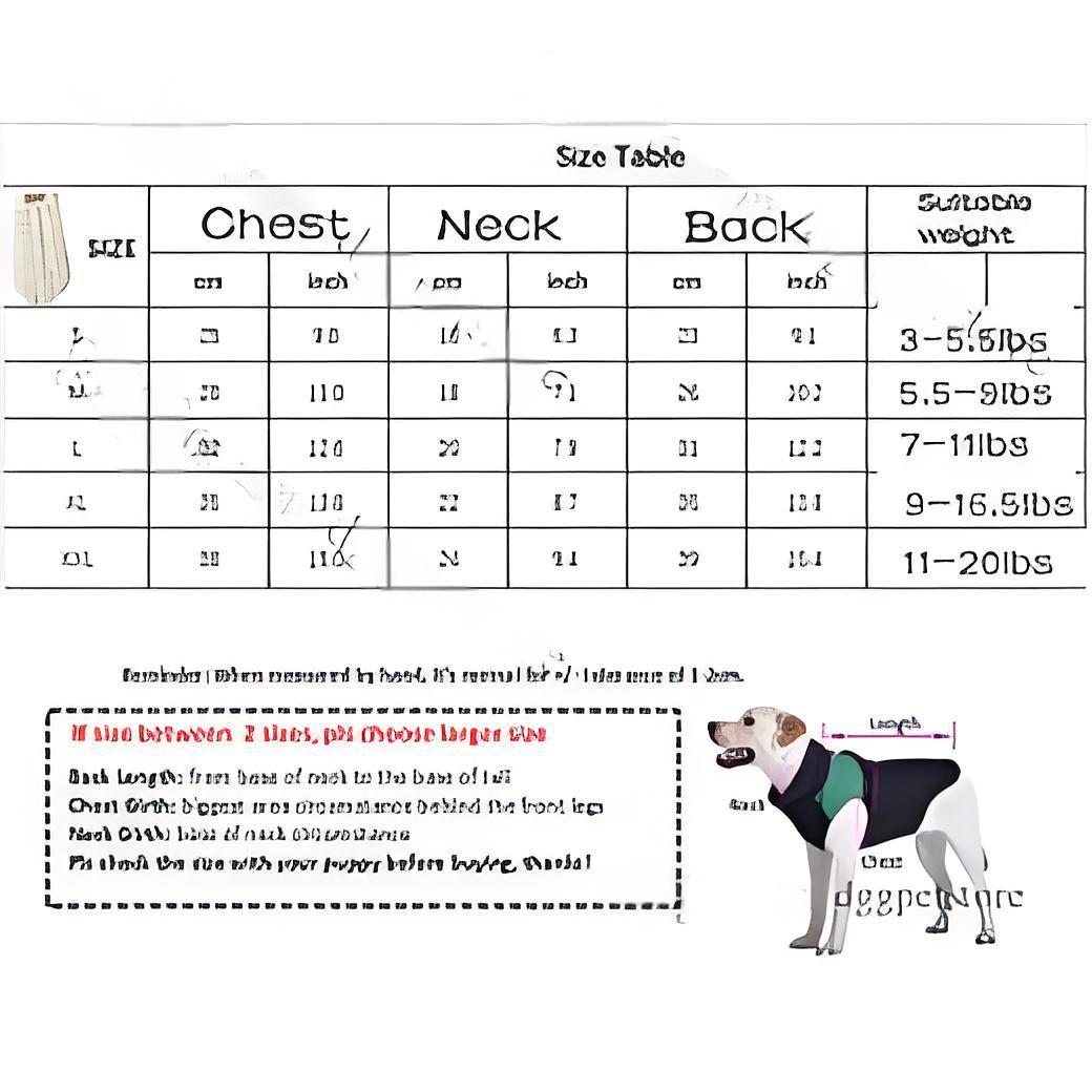 Stylish Animal Coat Ensemble Petite Canine Outerwear Package Including Handmade Garments