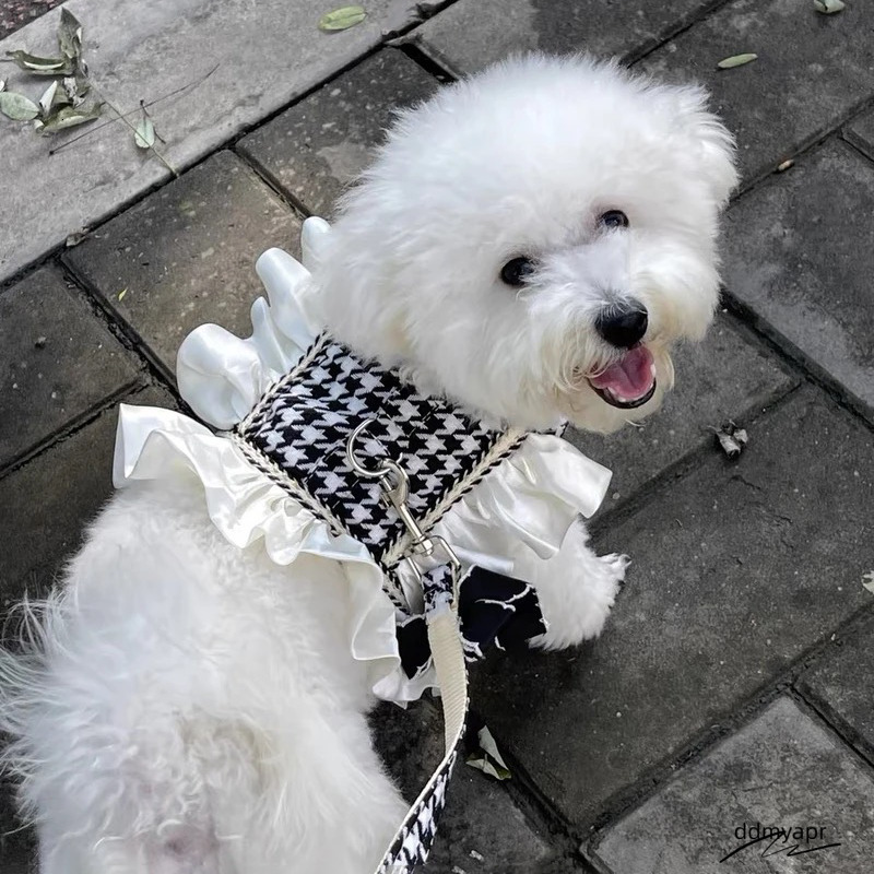 Princess Dog Harness With Leash Set, No Pull Adjustable Simple Magic Glue Puppy ddmyapr Pet Vest Harnesses Summer Pets Dress For Small Medium Dogs And