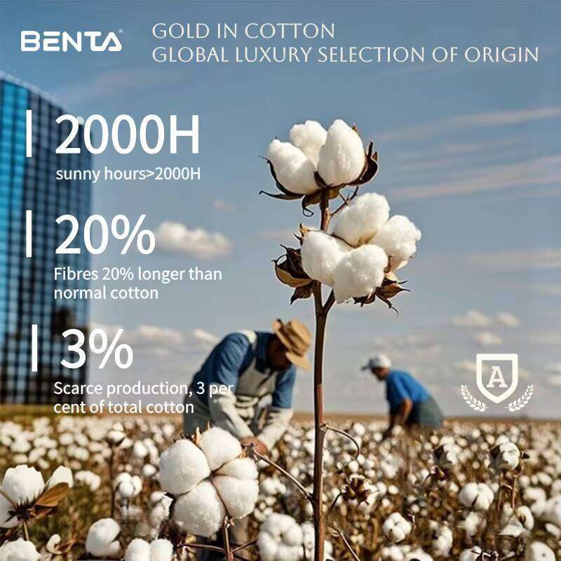 100% Cotton 230GSM Breathable Comfortable Collar Casual Short Sleeve Men's T-Shirt High-Quality Knitted Blank