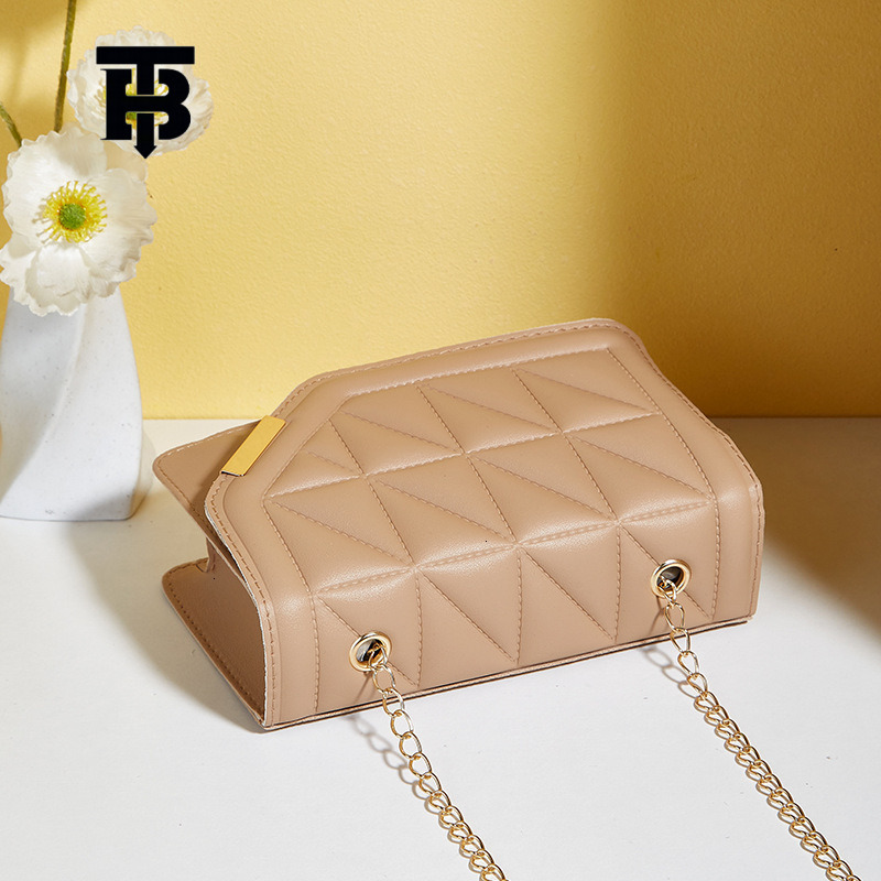 TB BHULAMTE Designer Triangular Quilted Embroidered Small Square Bag 2025 New Fashion Solid Color Sequined Decorated Magnetic Clasp Chain Crossbody Ba