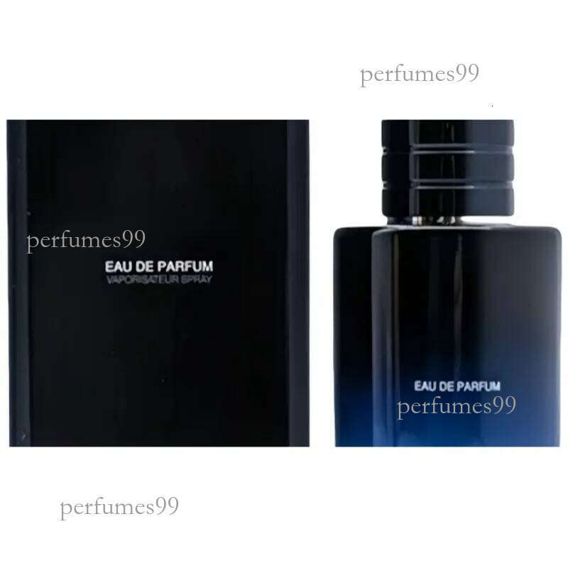 Perfume Cologne Designer Fragance Hot Sell Brand Perfume 100ml 3.4 fl.oz Eau de Parfum Edp Body Spray Cologne pour hommes