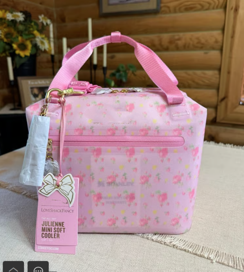 Ship From US All Day Julienne Mini Soft Cooler Lunch Bag Box Recycled Polyester Love Shack Fancy 10 Can Cooler 12 Hour Cooling Travel Bag Christmas Gift Ibiza Sunset