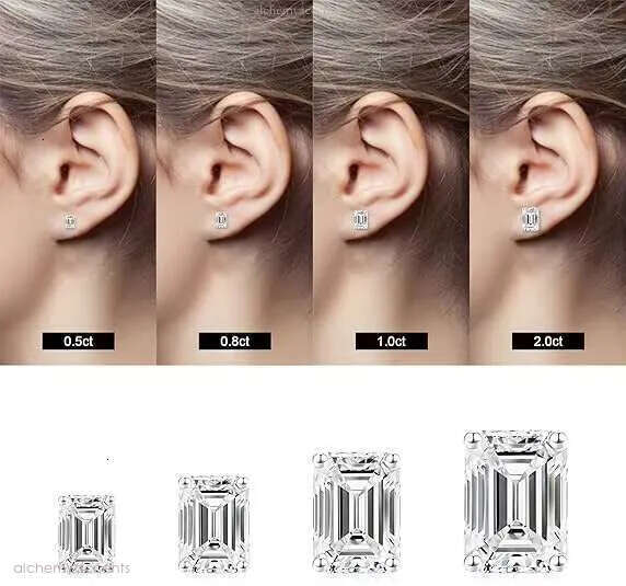 White Gold Plated Sterling Sier VVS Moissanite Simulated Dia Stud Earrings for Women