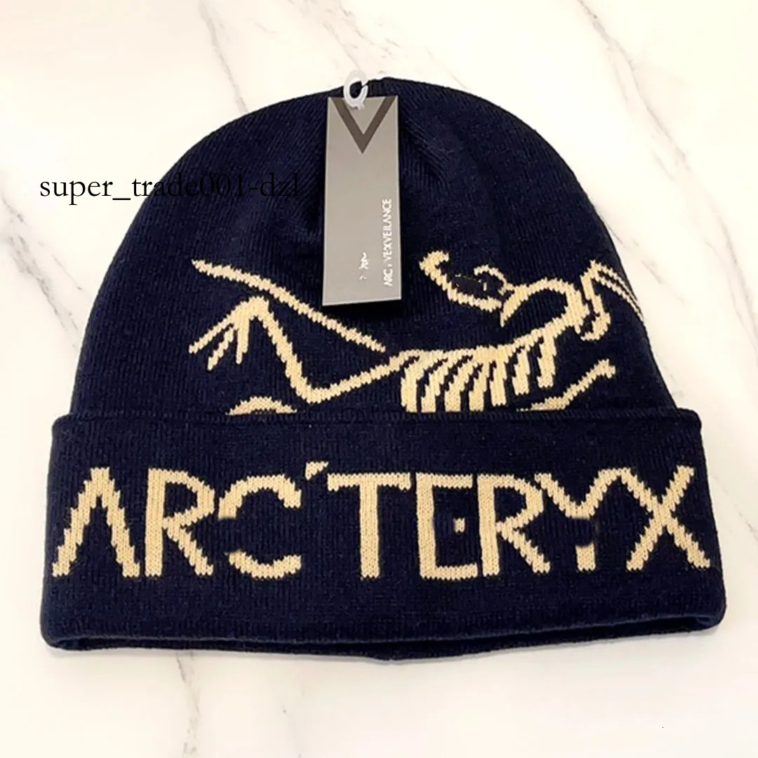 Knitted Arct Hat Grotto Toque Cashmere Hat Arc Designer Hat Women's Men's Beanie Fashionable Knitted Hat Ancient Bird Logo High Quality Warm Hat 9C5