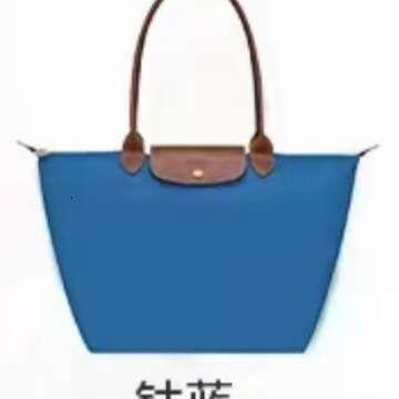 New Anniversary Edition Classic Handbag Dumpling Shoulder Tote designer bag