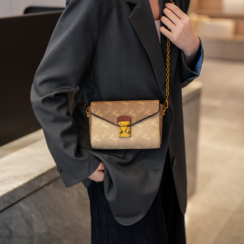 High-value small bag for women 2025 autumn and winter new style printed fashion small square bag chain bag printed shoulder messenger bag
