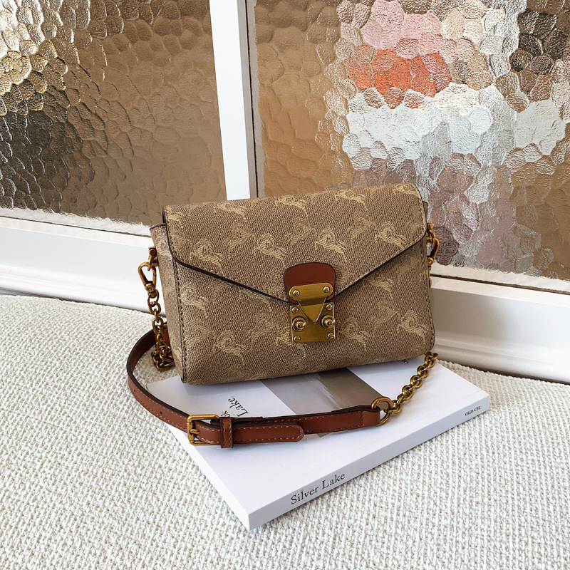 High-value small bag for women 2025 autumn and winter new style printed fashion small square bag chain bag printed shoulder messenger bag