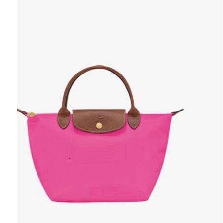 New Anniversary Edition Classic Handbag Dumpling Shoulder Tote designer bag