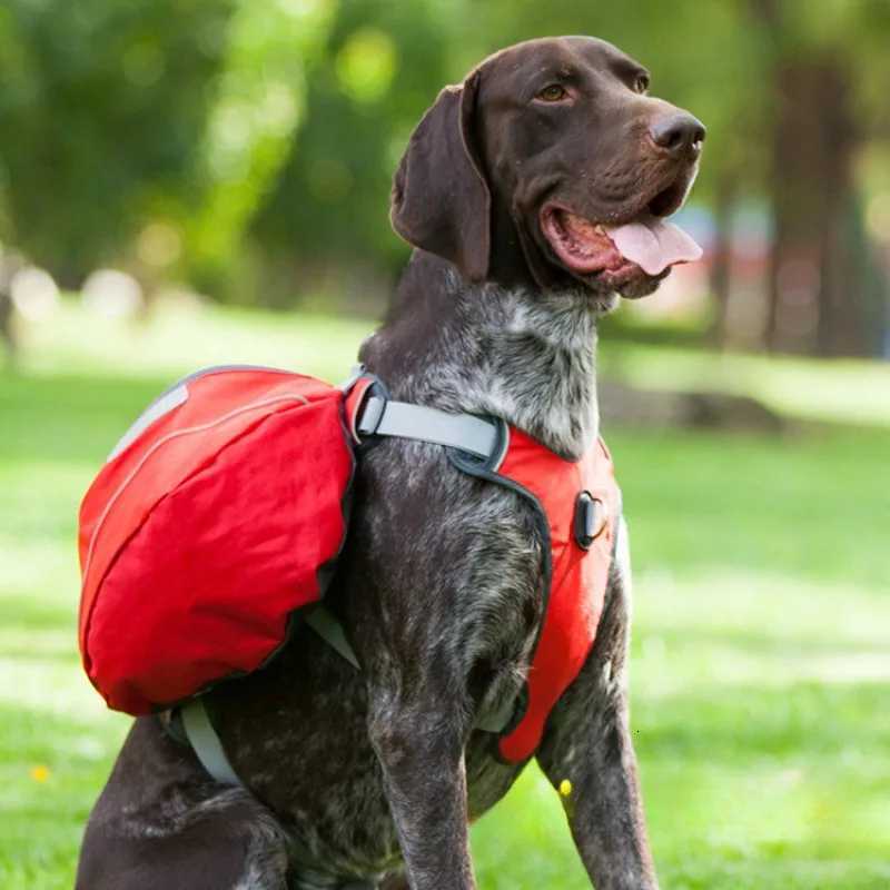 For Dogs Carry Their Own Backpacks Large Dog Pet Backpacks Large Dog Pet Outdoor Multi Functional Traction Belts W250904