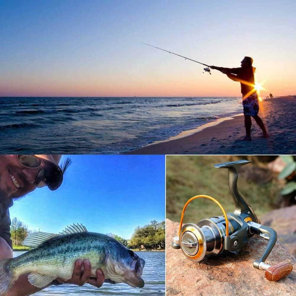 Spinning Fishing Reels with LeftRight Interchangeable Collapsible Wood Handle Powerful Metal Body 521511 Gear Ratio Smooth 11BB for Inshore Boat Rock 