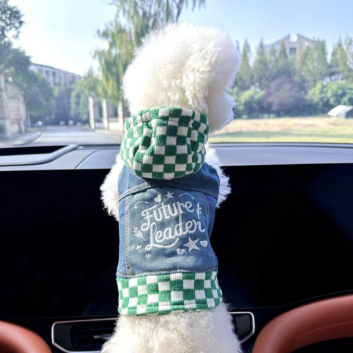 1PC Pet Clothing Spring and Autumn Green White Checkered Star Cowboy Hat Coat Suitable for Small and Medium sized Dogs W250904
