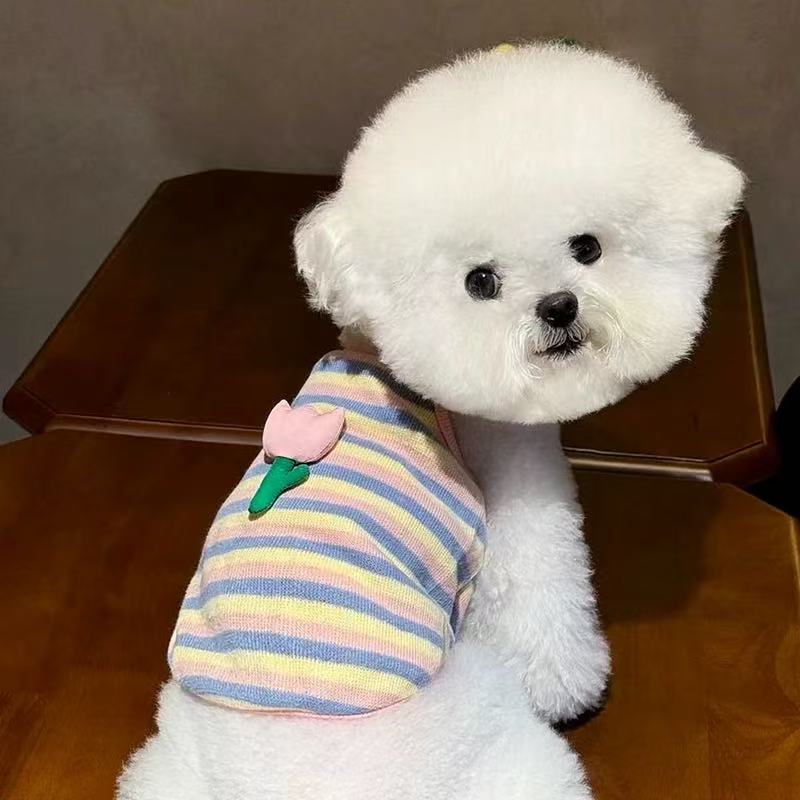 T1126 Quilted belly coat for female dogs, special dog clothes for autumn and winter, Teddy Bichon, small dog, puppy, French bulldog, pet autumn