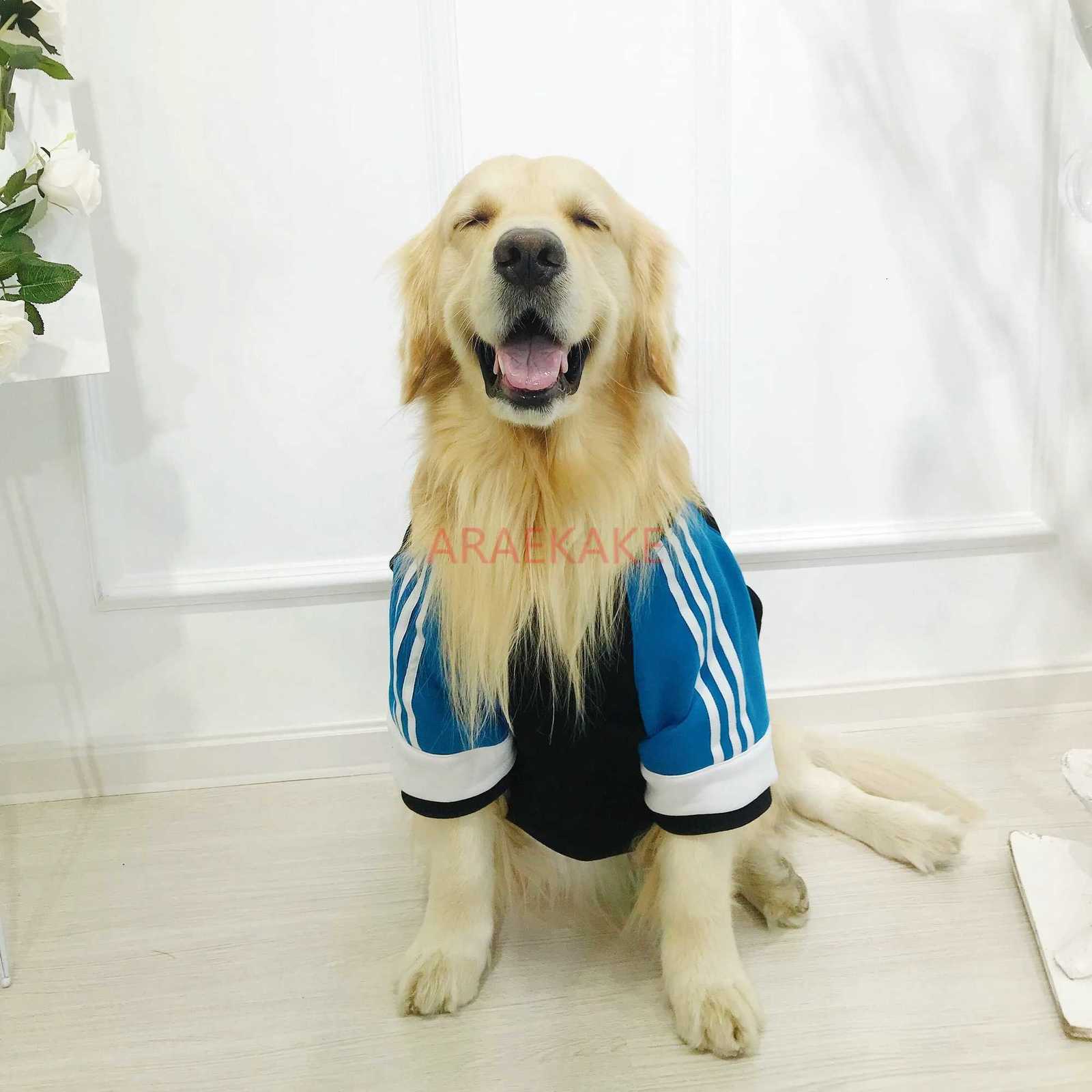 Large dog hoodie for autumn and winter pet coat big dog clothes W250904