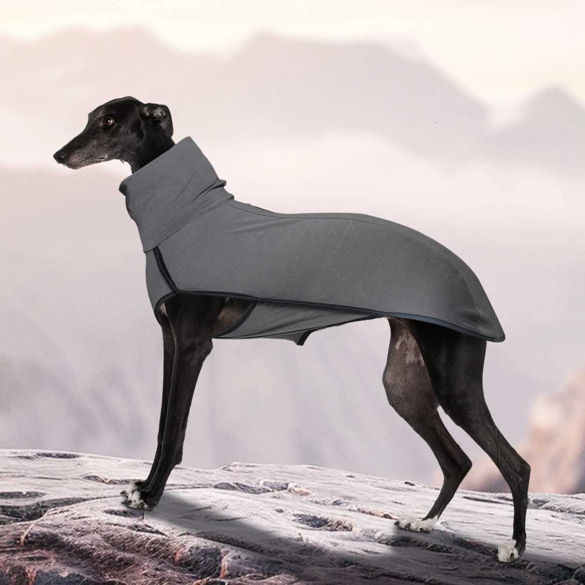 Novelty Dog High Collar Clothes Soft and Comfortable W250904