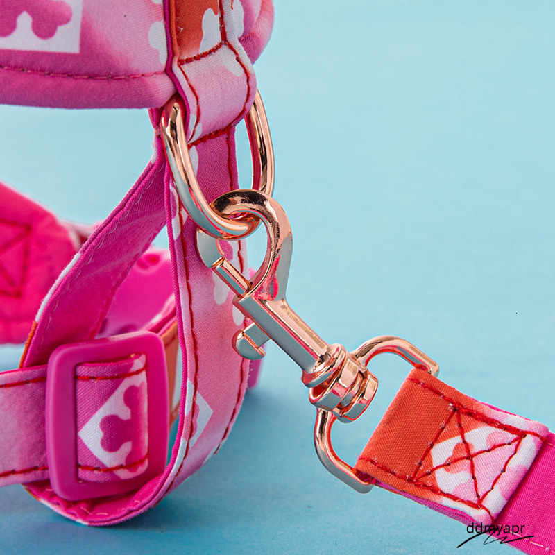 Bone Paw Print Pattern Gradient Color Harness, Pull Harness For Small Dogs, Ddmyday Soft Adjustable Step In No Choke Dog Harnesses And Leash Set, Blue