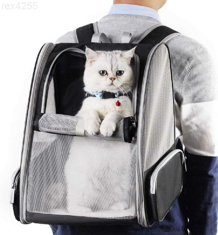 Traveler Bubble Backpack Pet Carriers for Cats and Dogs BlackW250904