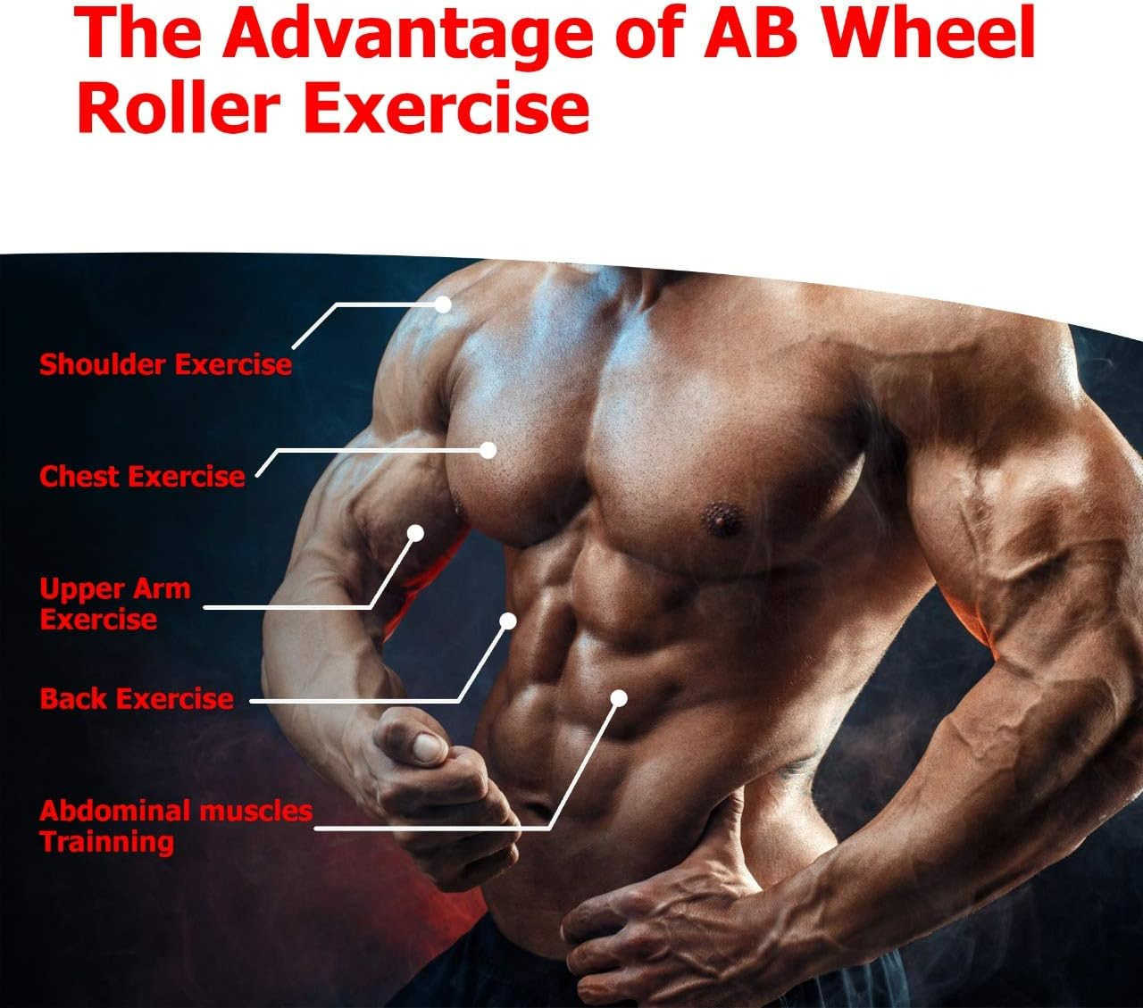 Ab Roller Wheel Ab Workout Equipment Ab Exercise Equipment Workout Equipment Home Gym Equipment Ab Machine for Men Women for Abdominal Core Strength T