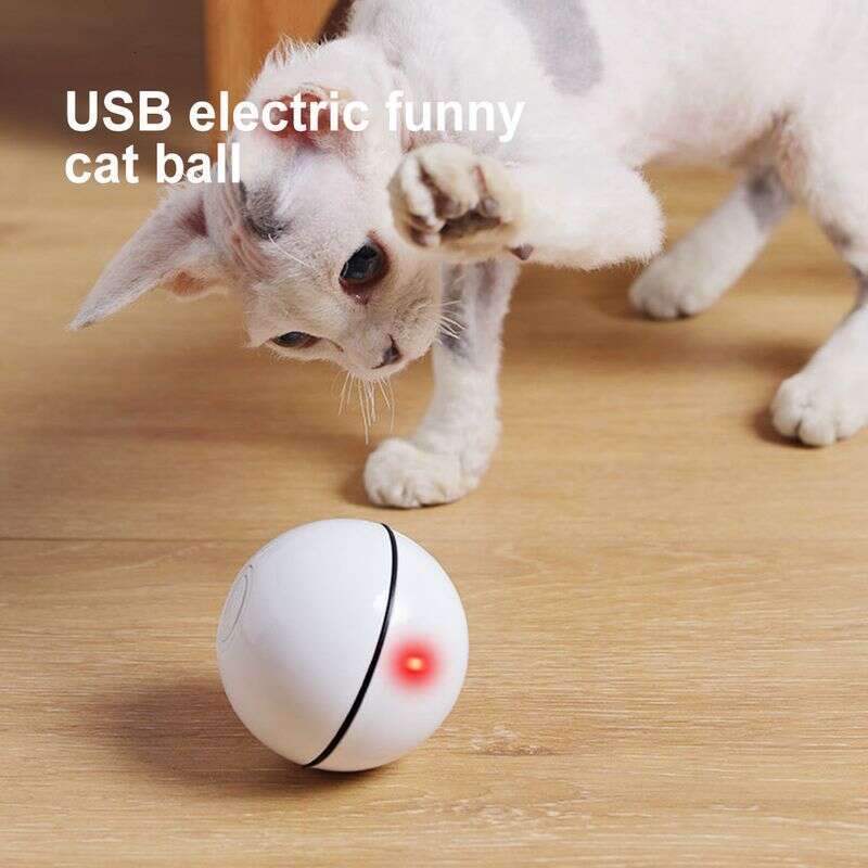 famous brand Guangying Electric USB Charging Cat Interactive Ball Toy With Rolling LED Light Pet Supply