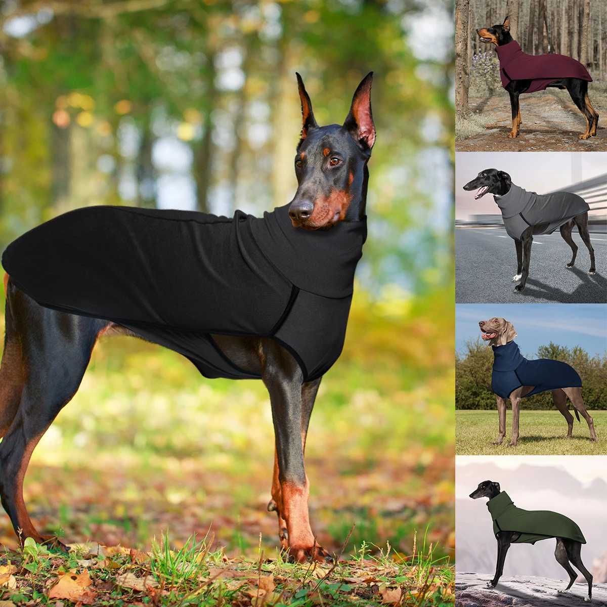 Novelty Dog High Collar Clothes Soft and Comfortable W250904