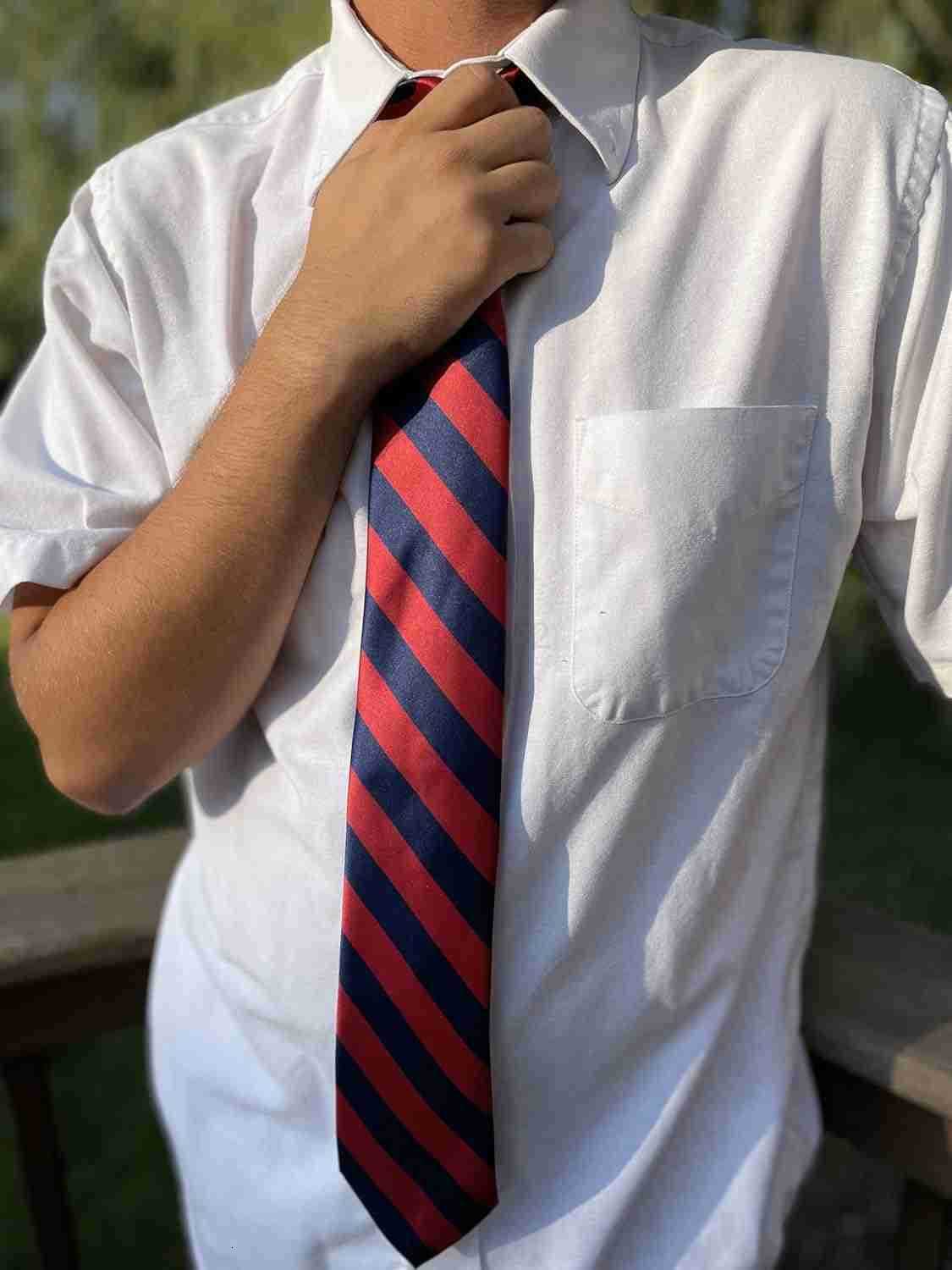 Mens Striped Tie Standard LengthW250904