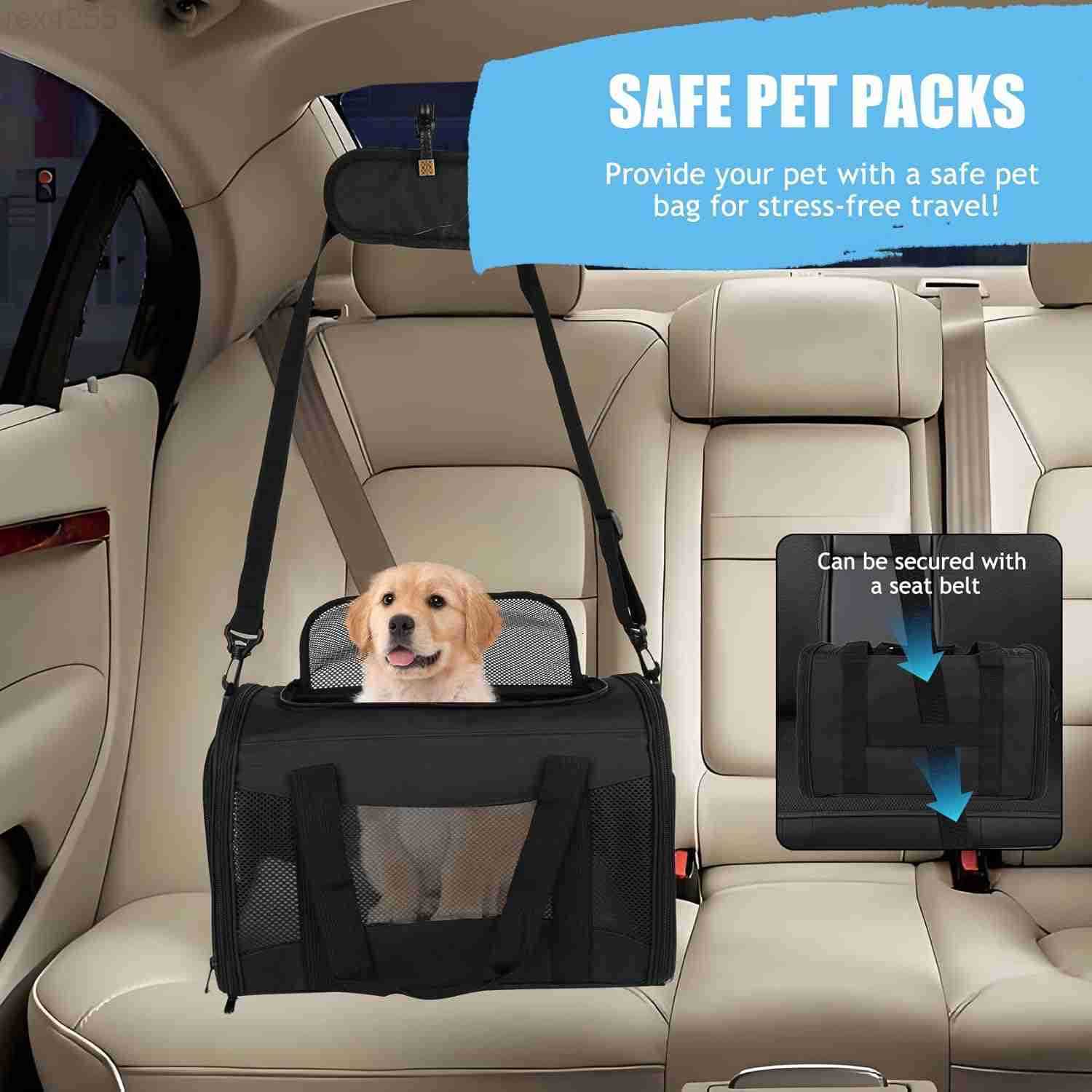 Cat Dog Carriers SoftSided Pet Travel Carrier for Small Cats Dogs Under to15lbs SoftSolid Collapsible CarrierMediumGreenW250904