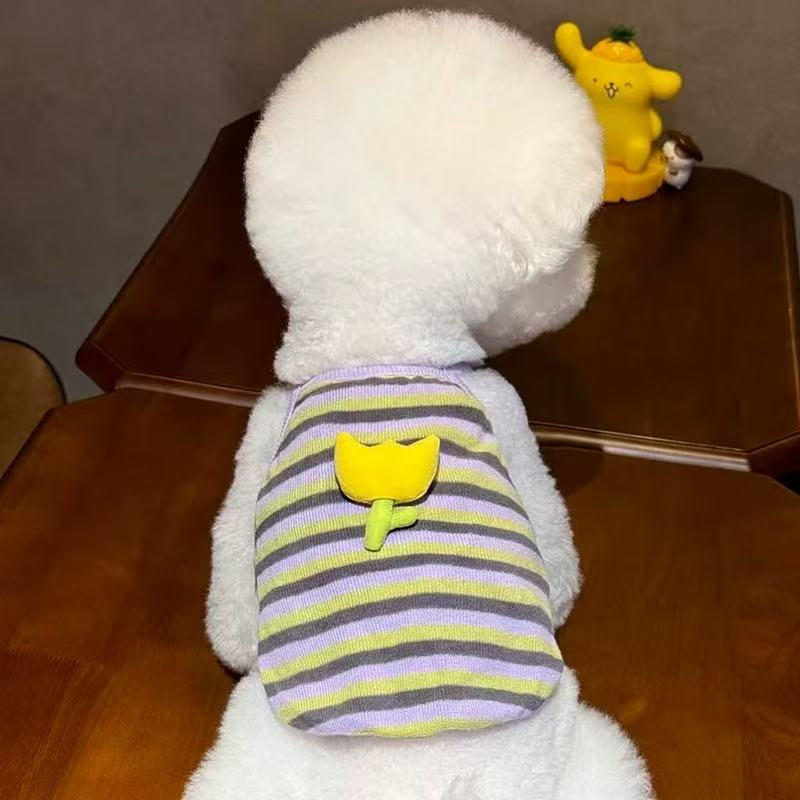 T1126 Quilted belly coat for female dogs, special dog clothes for autumn and winter, Teddy Bichon, small dog, puppy, French bulldog, pet autumn