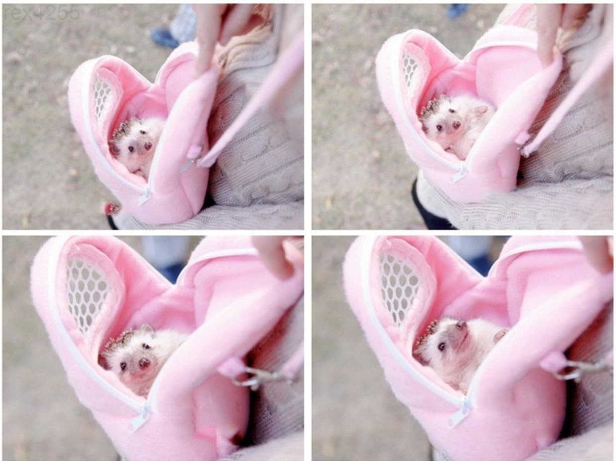 1Portable White Mesh African Hedgehog Hamster Breathable Pet Dog Carrier Bags Handbags Puppy Cat Travel Backpack M White Mesh Pink 18 x 22cm7 x9 inchW