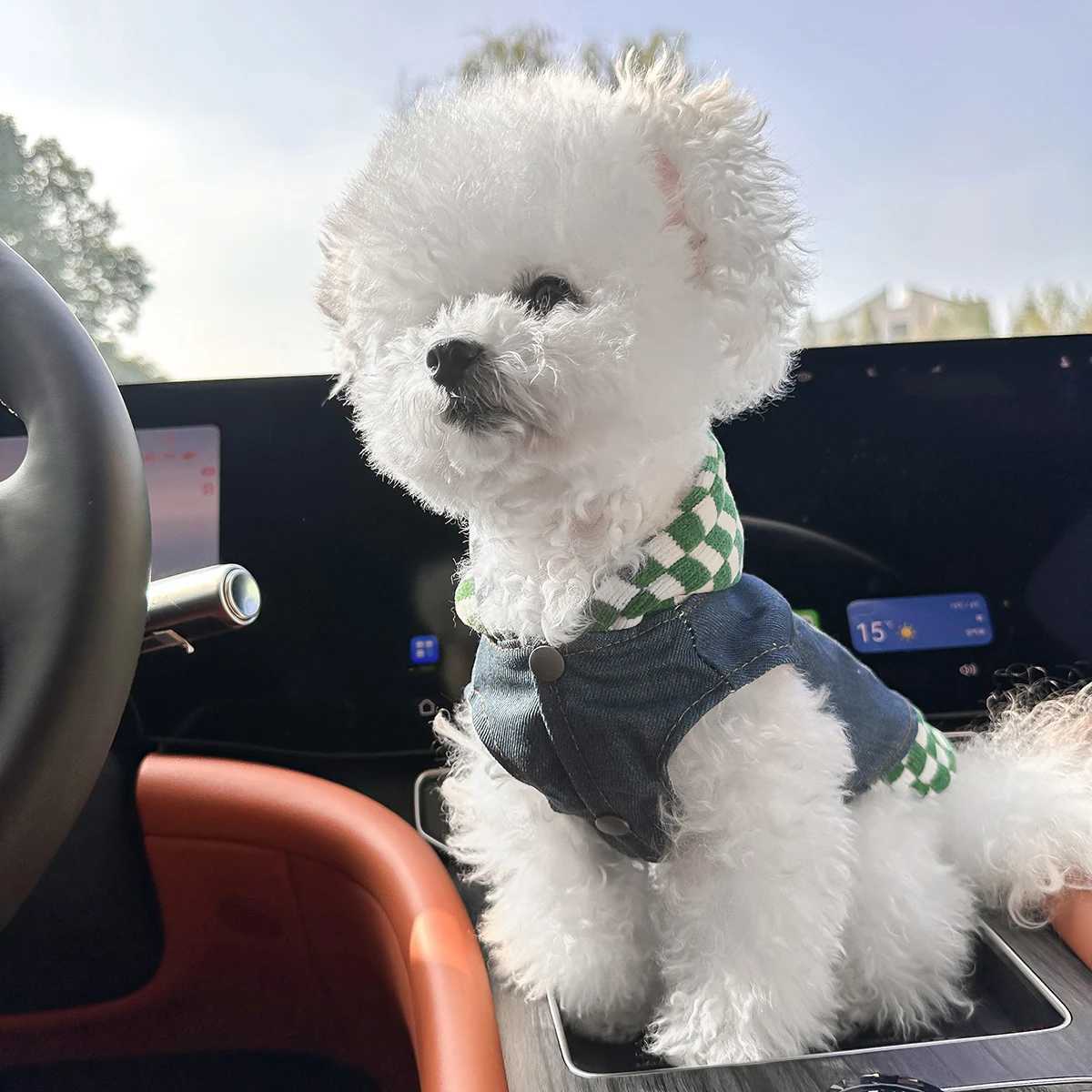 1PC Pet Clothing Spring and Autumn Green White Checkered Star Cowboy Hat Coat Suitable for Small and Medium sized Dogs W250904