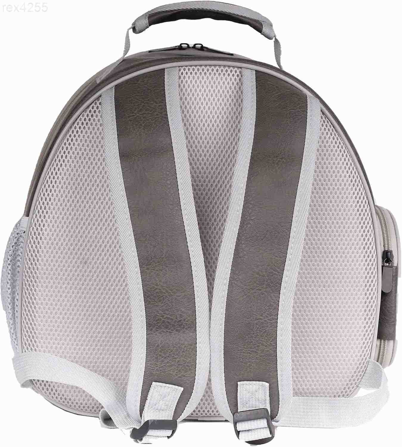 Backpack with Two Security Printing Harness with Leash Sets Reptile Lizard Travel Bag to Carry and Transport Small Animal Kitten Bunny GuineaW250904