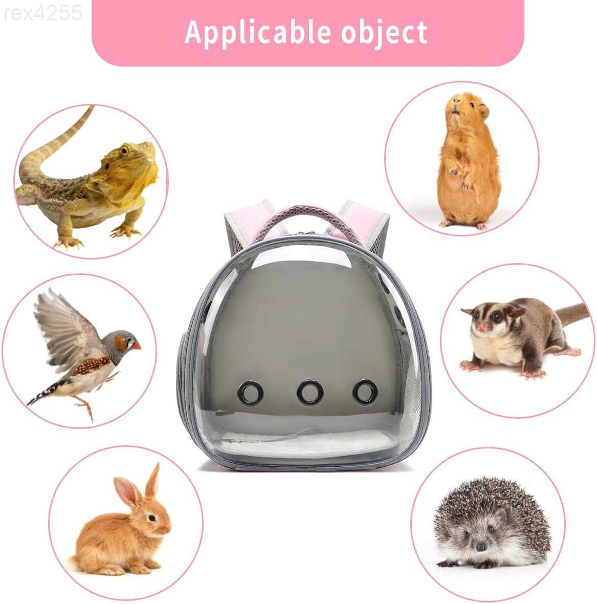 Backpack Carrier with Harness and Leash Set Small Animal Carrier Backpack Space Capsule Bubble Window Small Pet Carrier Backpack Airline ApprW250904