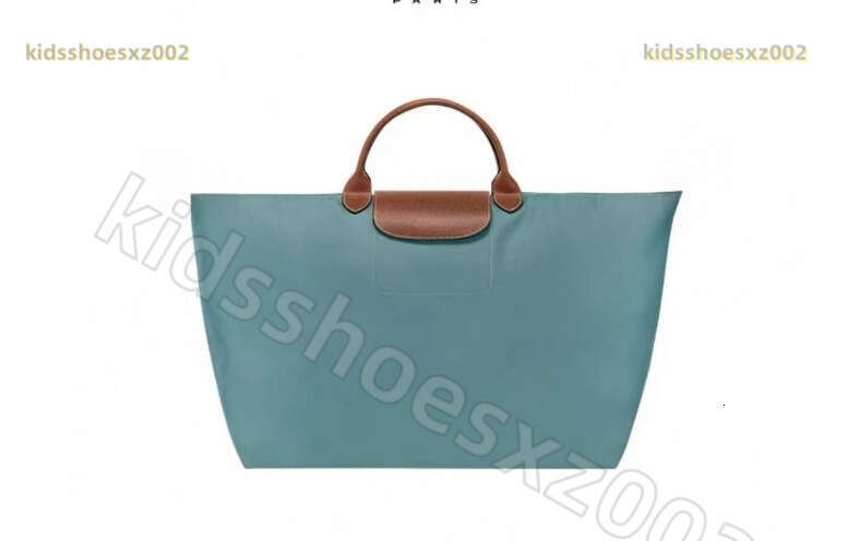 Luxury Bag Longlys Champly Dumplings Bag Nylon Designer Bag Retro Classic Flap Bag Mochila City Bag Muimuubag Sac Zadigandvoltaire Coacher Bag