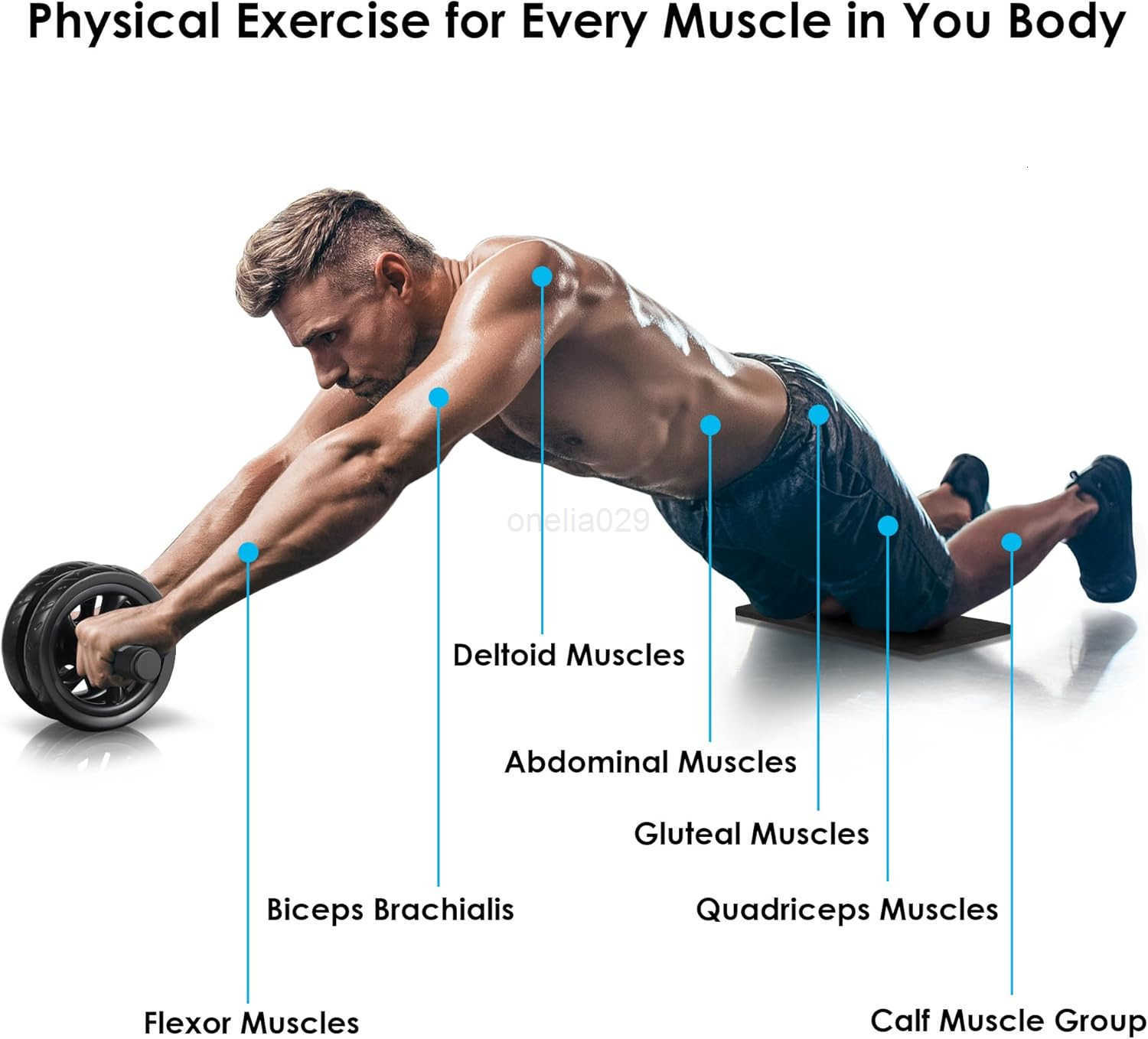 Ab Roller Wheel Home Gym Equipment for Core Workout No Noise Exercise Wheels with Knee Pad Fitness Training Wheel Abs Workout Equipment for Sports W25