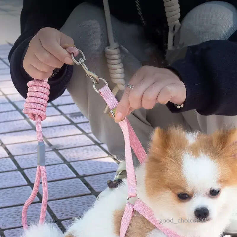 Lanjia- Labubu Dog Leash, Step-In Soft Mesh Puppy Vest With Cute Patterns And Doll Decorations, Breathable Pet Harness For Small Sized Dogs B142 Df26d