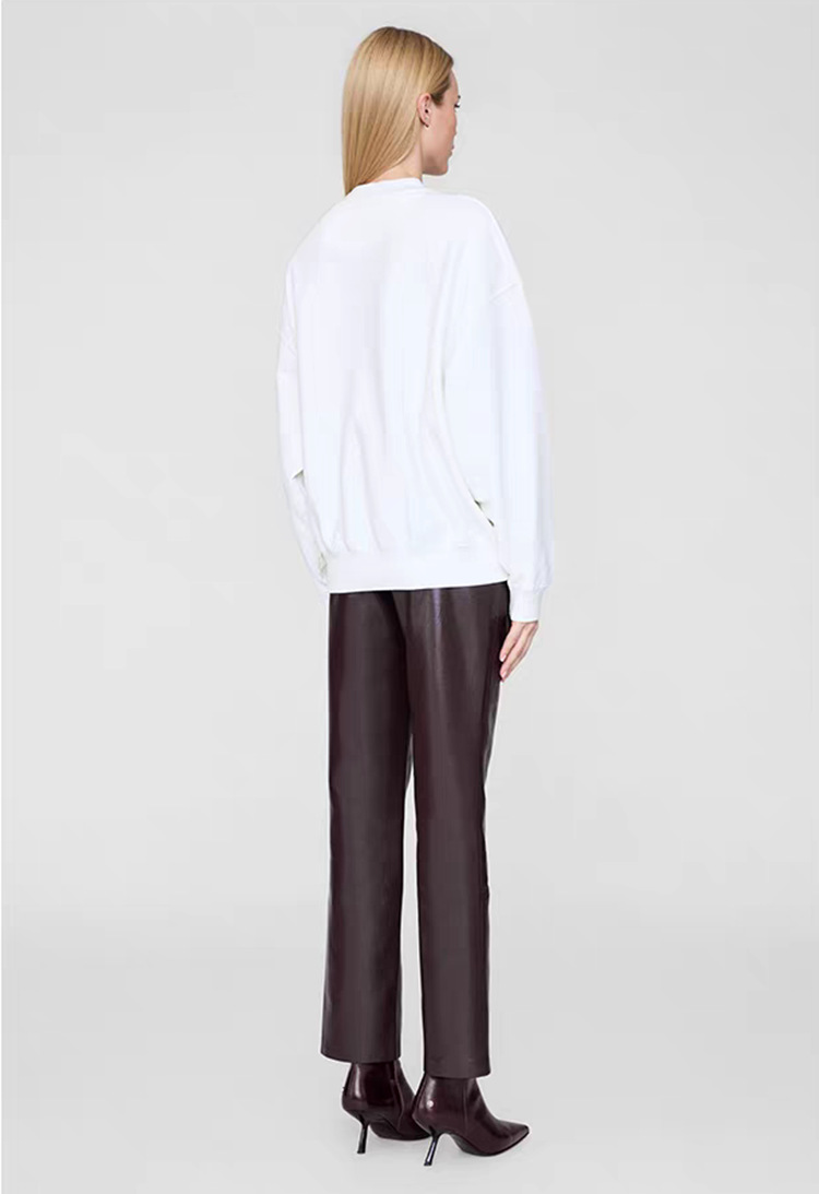 Designer Hoodies Women's AB Letter Print Fleece-Lined Crewneck Sweatshirt - Vintage Cotton Streetwear Pullover for Fall Winter 2025 (S/M/L