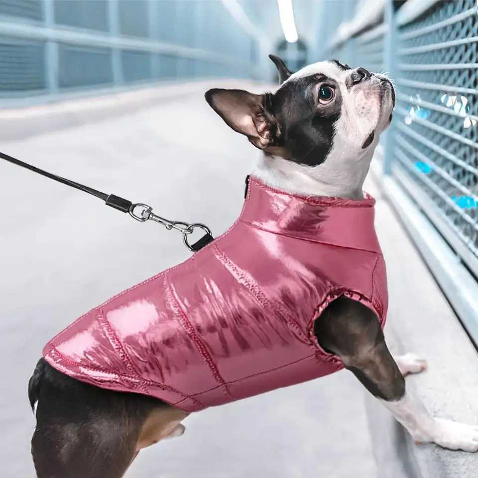 GoldStitched Dog Coat Winter Warm Sleeveless Puppy Coat High Collar Warm Cotton et DRing Zipper Small Middle Dog Cat Coat W250904