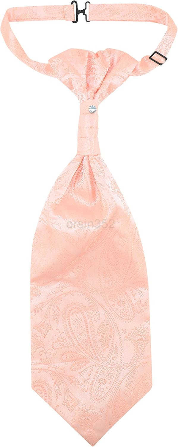 TiedSolid PAISLEY Color Cravat Mens Neck Tie 21 ColorsW250904