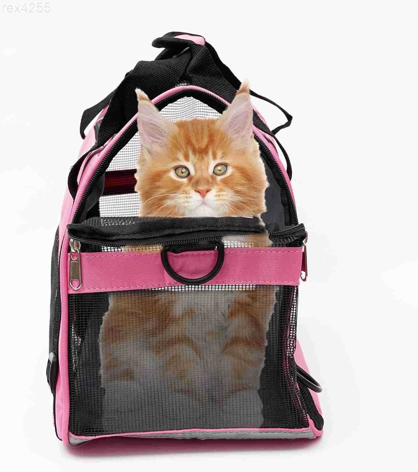 Cat Carrier for Small Cats Dogs SoftSided Pet Carrier for Cats Puppies Small Pets Airline Approved Lightweight Comfortable Travel Cat Dog Carrier Smal
