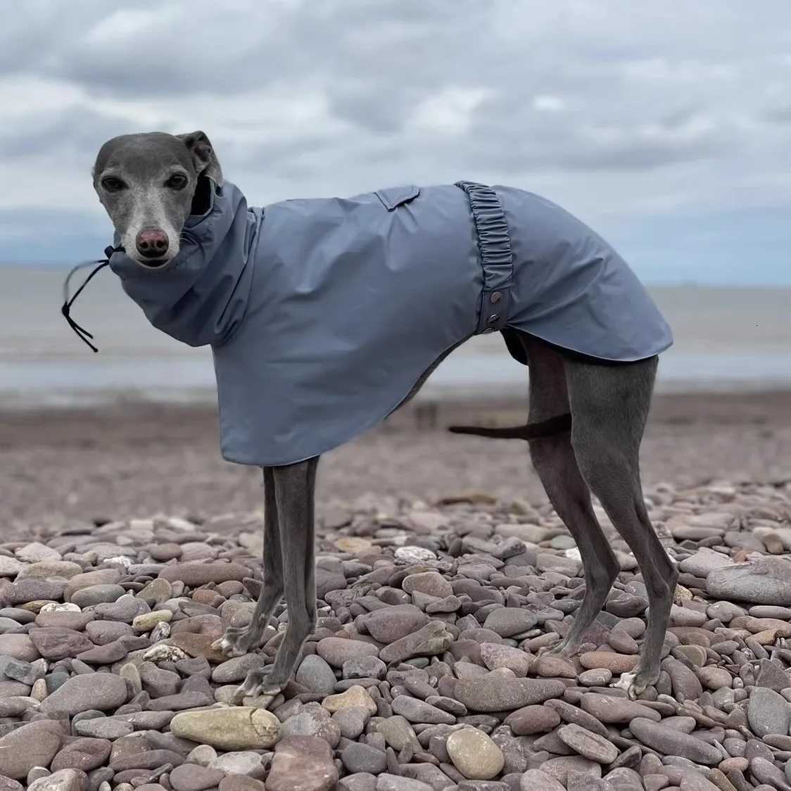 Fashion Adjustable Greyhound Whippet Raincoat Waterproof Windproof Berlington Terrier Soft Dog Vest et for Media Large Dogs W250904