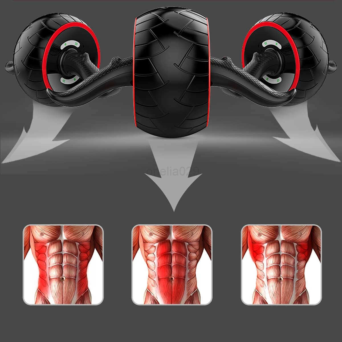 Ab Roller WheelAbs Workout Equipment for Abdominal Core Exercise at HomeGym W250904