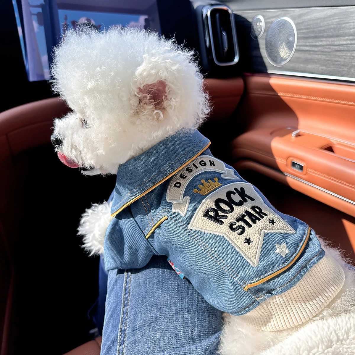 Rock Embroidery Blue et Pet Clothes Dog Cat Spring Handsome Out Traction Clothes W250904