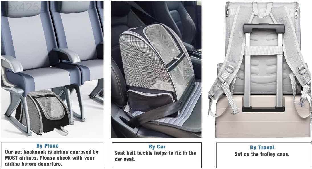 Traveler Bubble Backpack Pet Carriers for Cats and Dogs BlackW250904