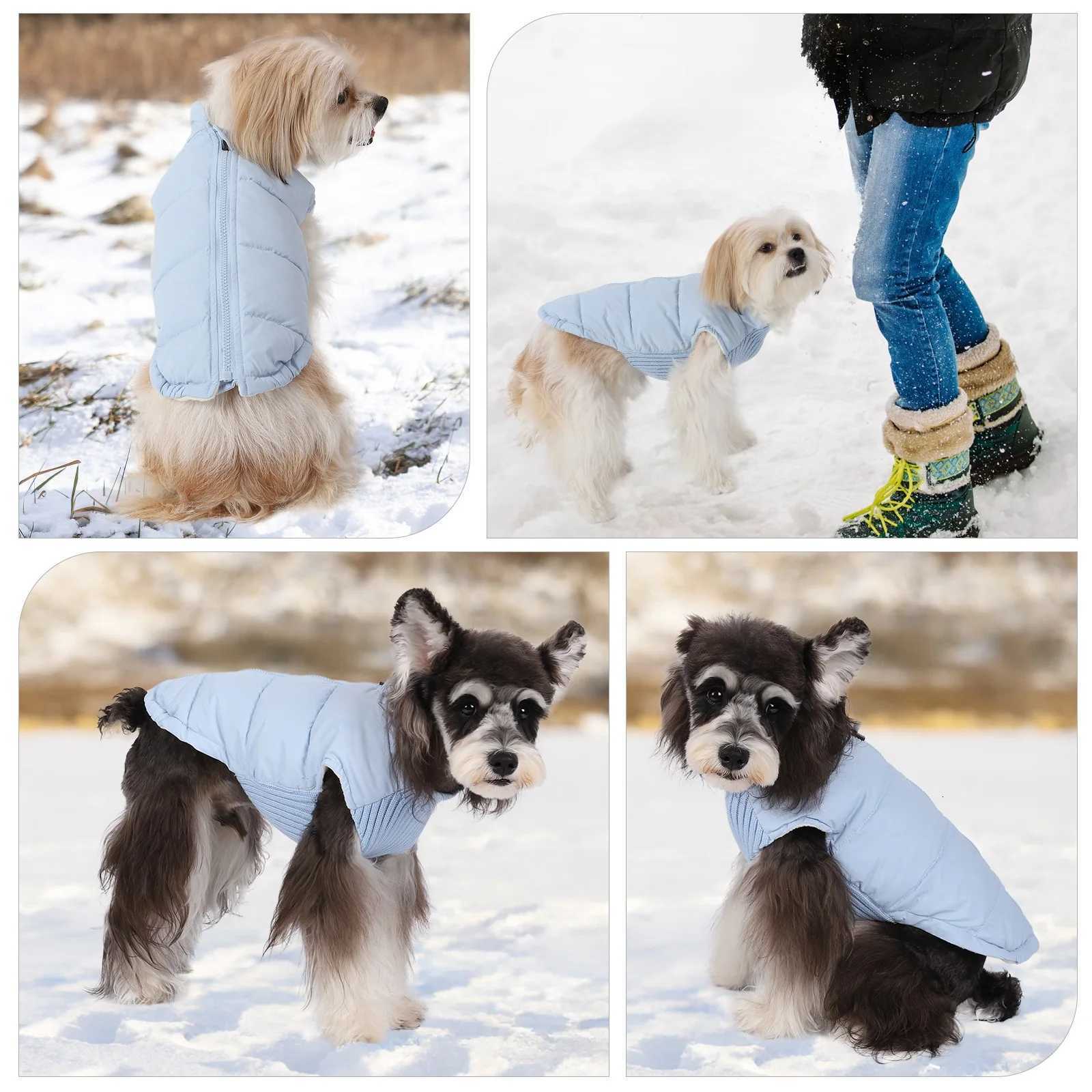 Winter Pet Dog et Windproof Warm Dogs Clothes for Small Medium Dogs Cats Puppy Down Coat Chihuahua Shih Tzu Costume Yorkies W250904