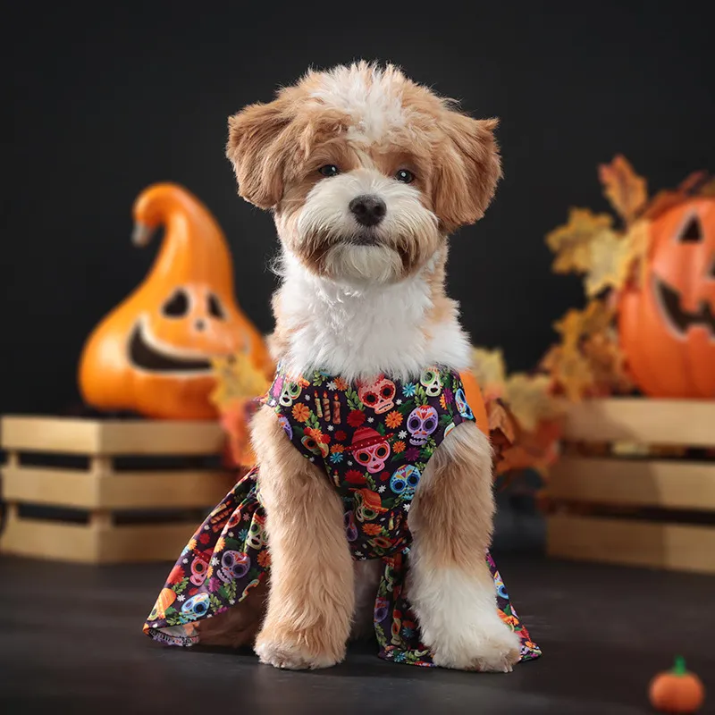 2025 new 2 Pcs Dog Sets Pumpkin Ghost Skeleton Costumes for Dogs Funny Halloween Puppy Dress