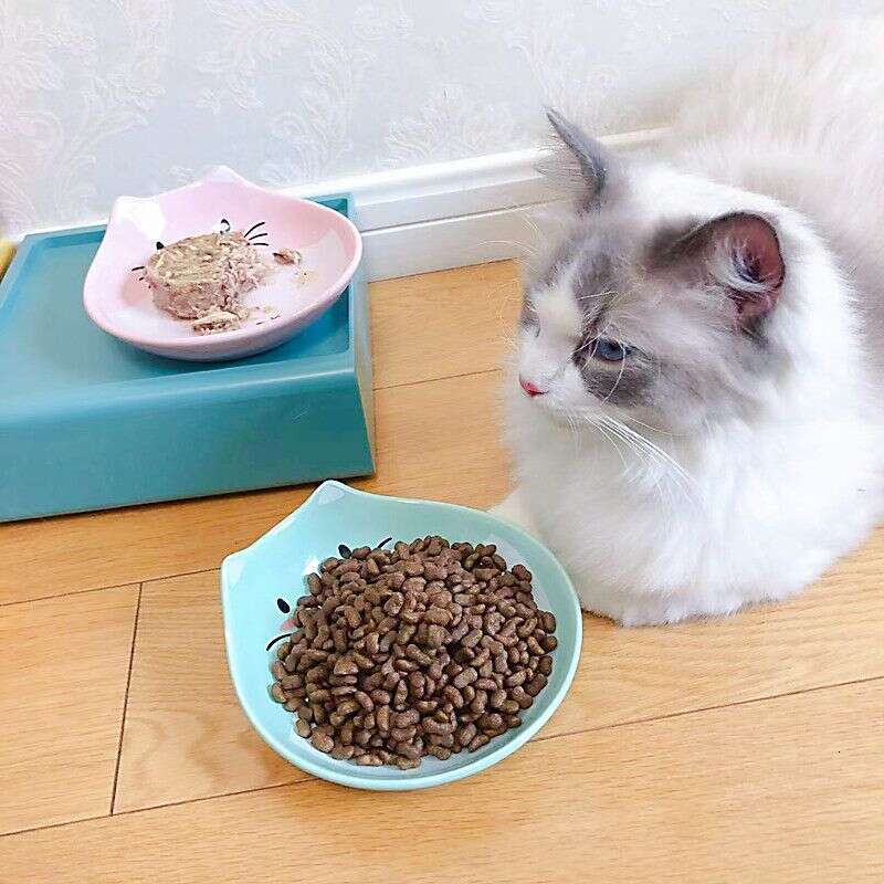 famous brand New Pet Ceramic Fat Face Cartoon Food Cat Dog Bowl Universal Easy to Clean